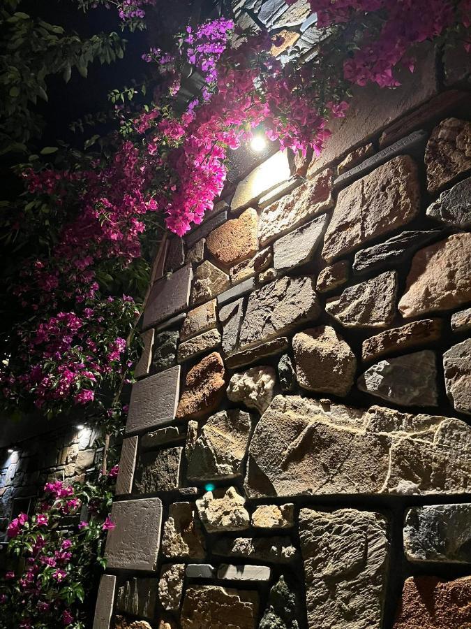 Villa Anna 아이오스 니콜라오스 외부 사진